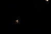 火 木头 夜晚 短发