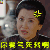 那年花开月正圆 吴夫人 龚慈恩 你要气死我啊 soogif soogif出品