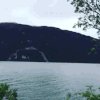 水 山 树叶 毛绒玩具