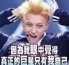 黄子韬 巨星 自信 帅气