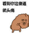 阿狮马 金馆长 傻逼 斗图 头痛
