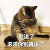 萌宠 喵星人 别说了 我求求你别说了 憨憨 可爱