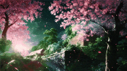 日本 大阪 风景 夜景 樱花