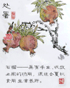 处暑 节气 文化