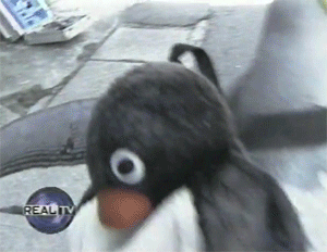 企鹅 penguin 玩偶