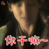 大笑江湖 月露 林熙蕾 你干嘛 蒙圈 soogif soogif出品