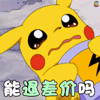双十一 双11 购物 soogif soogif出品 能退差价吗 皮卡丘
