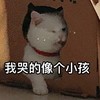 萌宠 猫星人 我哭的像个孩子 可怜 呆萌 可爱