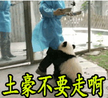 土豪不要走啊 大熊猫 请求