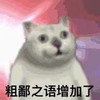 萌宠 喵星人 粗鄙之语增加了 口吐莲花 呆萌 憨憨