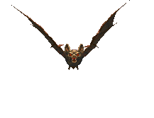 凶恶 蝙蝠 翅膀 可怕