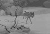 白雪公主 动画 享受 满足