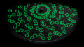 刺绣 奇幻 Elliot Schultz the Embroidered Zoetrope