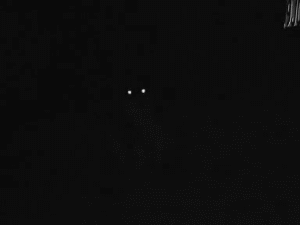 夜晚 猫咪 眼睛发光  奔跑