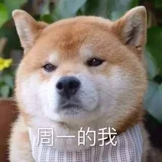 萌宠 汪星人 周一的我 无奈 搞怪 逗