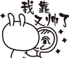 兔兔 镜子 星星 又帅了
