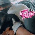 蒙圈 懵逼  你想干嘛