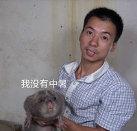 竹鼠 华农兄弟