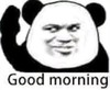熊猫头 暴漫 goodmorning 搞笑 逗 沙雕 朋友圈评论表情