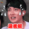 爸爸去哪儿 吴尊 逗我呢 蒙圈 soogif soogif出品