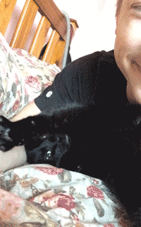 小猫 黑色 可爱 人