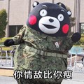 熊本熊 红脸蛋 迷彩服 你情敌比你瘦