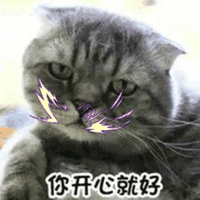 你开心就好 开心 猫 搞怪 逗