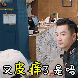 苏有朋GIF动态图_苏有朋表情包_苏有朋GIF动