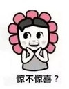 暴漫 文字表情包 惊不惊喜 搞笑 逗 魔性