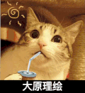 小猫 喝水 可爱 大原理绘