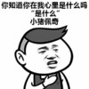 抖音表情 抖音表情包 抖音 举个小人 抖音套路 土味撩 强撩