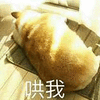 哄我 生气了 搞怪 逗