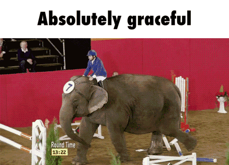 大象 优雅 走开 表演