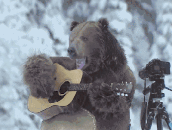 动物 狗熊 雪天 弹奏 投入