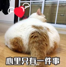 等放假 国庆节 可爱 文字表情包 喵星人