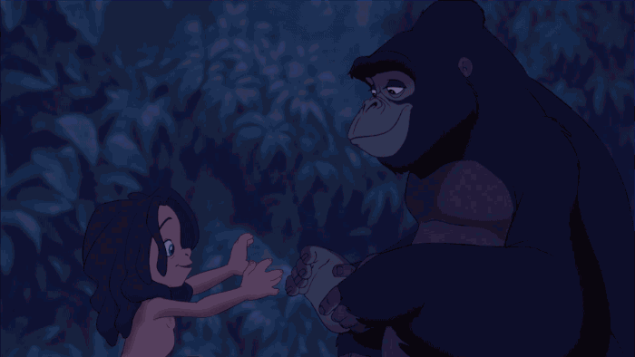 人猿泰山 Tarzan 小泰山 猩猩 手对手