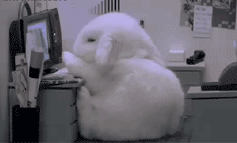 困了 兔子 屏幕 可爱