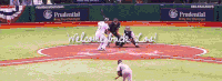 棒球 美国职棒大联盟 纽约洋基队 卡洛斯佩纳 坦帕湾光芒 戴维价格 开放日 走离胜利 2012日开幕