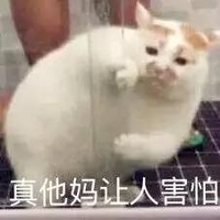 猫咪 真他妈让人害怕 恶搞 不开心