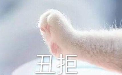 可爱 萌 文字表情包 小手 猫爪