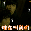 追龙 电影 即将上映 刘德华 甄子丹 谁在叫我们 疑问 蒙圈 搞怪 soogif soogif出品
