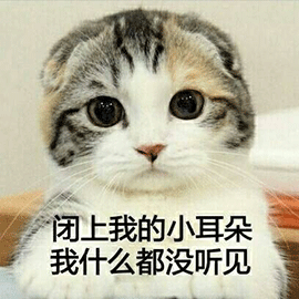 萌宠 猫咪 猫 喵星人 闭上我的小耳朵 我什么都没听见