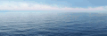 海洋 ocean nature