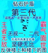 金管长 钻石护盾第三代 王者无敌 霸气面试 坚硬无比  反弹楼上和 楼下的图