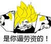 是你逼劳资的 金馆长 撕开 叼着