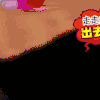 二哈 汪星人 搞笑 萌宠