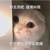 萌宠 猫星人 你去洗吧 搓背叫我 呆萌 可爱