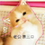猫咪 萌萌哒 撒娇 卖萌 斗图 老公，亲三口