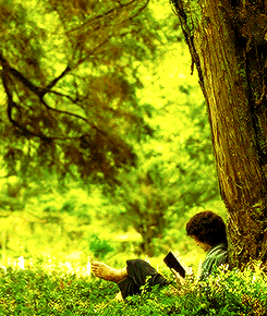 电影 一片绿色 树下 看书