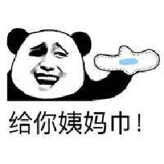 熊猫头gif斗图gif恶搞gif雷人gif给你姨妈巾gif